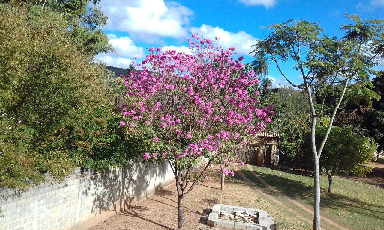 Serra do Cipo National Park Cipo Hostel מראה חיצוני תמונה
